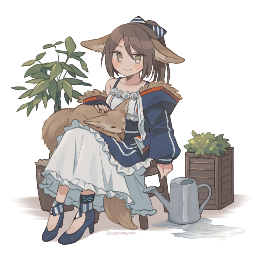 1girl animal_ears animal_on_lap apron arknights blue_apron blue_bow blue_coat blue_footwear blush bow brown_eyes bush coat dress fennec_fox fox_ears fox_girl fox_tail full_body fur-trimmed_coat fur_trim hair_bow high_heels highres infection_monitor_(arknights) looking_at_viewer on_lap perfumer_(arknights) plant ponytail potted_plant shadow short_hair sidelocks simple_background smile solo stool sushitarou tail tree twitter_username waist_apron watering_can white_background white_dress