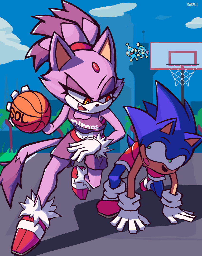 1boy 1girl absurdres animal_ears ball basketball basketball_(object) basketball_uniform blaze_the_cat blue_fur blue_sky cat_ears cat_girl cat_tail chao_(sonic) clouds fang forehead_jewel fur-trimmed_gloves fur_trim furry furry_female furry_male gloves green_eyes highres oakblu open_mouth red_footwear sky sonic_(series) sonic_the_hedgehog sportswear tail white_gloves yellow_eyes