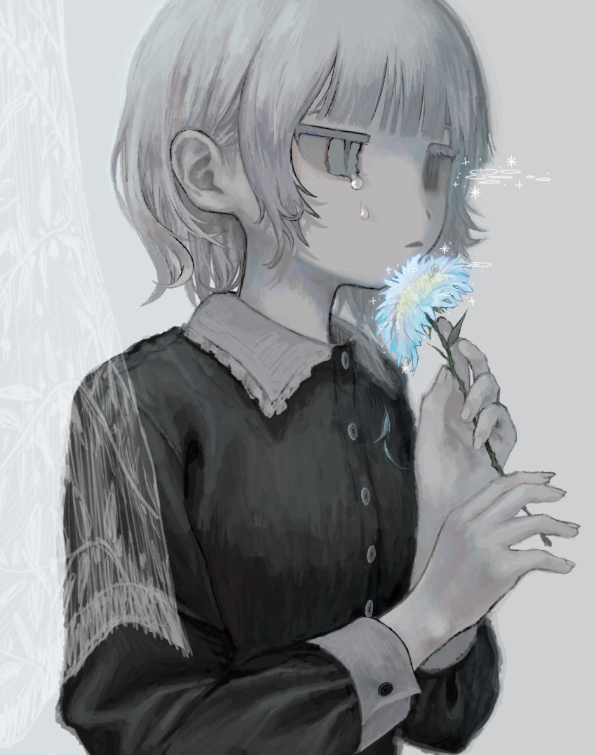 1girl blue_eyes blue_flower blunt_bangs buttons collar crying curtains empty_eyes expressionless fingernails flower flower_to_mouth frilled_collar frills from_side frown giv_81 grey_background hands_up highres holding holding_flower jitome light_frown long_sleeves looking_ahead medium_bangs medium_hair muted_color original pale_skin parted_lips sidelocks simple_background sleeve_cuffs solo sparks streaming_tears tears upper_body wavy_eyes white_hair