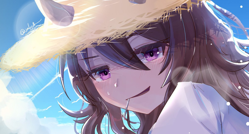 1girl animal_ears blush brown_hair candy clouds contrail day ears_through_headwear food food_in_mouth hair_between_eyes hat horse_ears lollipop long_hair looking_at_viewer mamare nakayama_festa_(umamusume) open_mouth outdoors shirt smile solo straw_hat umamusume upper_body violet_eyes white_shirt