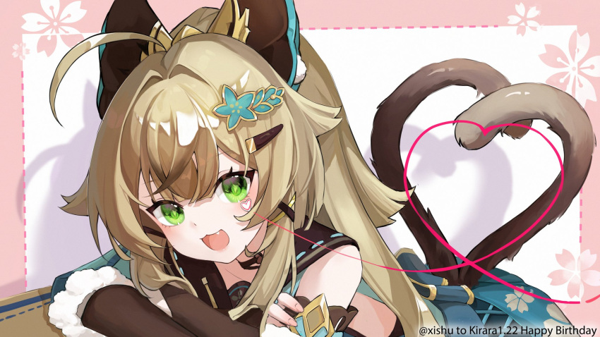 1girl :3 ahoge arm_support blonde_hair blush box cardboard_box cat_girl cat_tail coat crossed_arms detached_sleeves fang genshin_impact green_eyes hair_ornament hairclip happy_birthday head_tilt heart heart_of_string heart_tail highres huge_ahoge kirara_(genshin_impact) long_hair long_sleeves looking_at_viewer multiple_tails nekomata on_box open_mouth pink_background sleeveless sleeveless_coat smile solo tail two_tails xishuu_(user_dvah3828)
