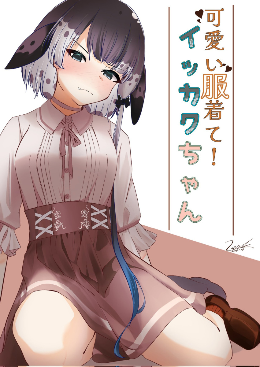 1girl alternate_costume blue_eyes blue_hair blush bow bowtie brown_bow brown_bowtie brown_footwear brown_skirt brown_socks cetacean_tail choker collared_shirt fins fish_tail frilled_sleeves frills grey_hair hair_bow high-waist_skirt highres kemono_friends kemono_friends_3 loafers long_sleeves looking_at_viewer multicolored_hair narwhal_(kemono_friends) nose_blush puffy_sleeves shironappa_46 shirt shoes short_hair_with_long_locks sidelocks sitting skirt socks solo tail whale_girl white_choker white_hair white_shirt