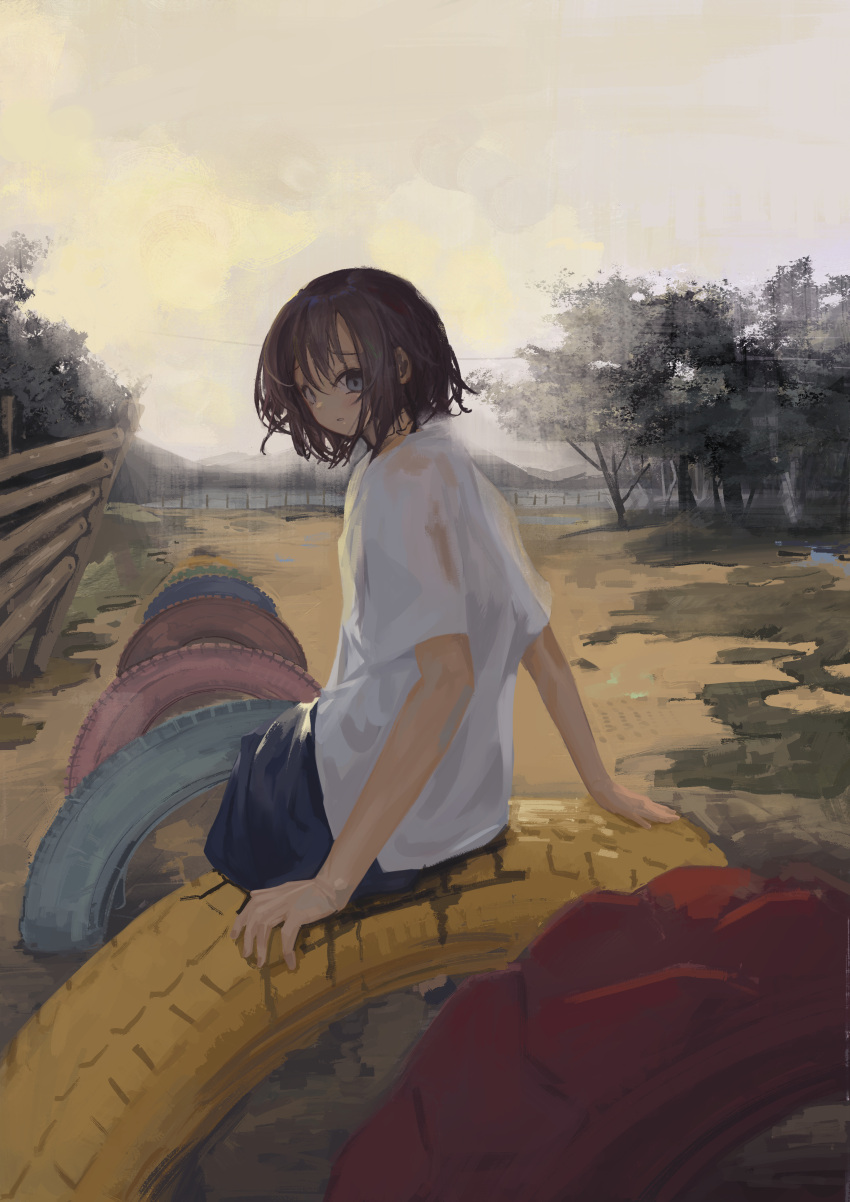 1girl absurdres brown_hair clouds cloudy_sky eliot_(eokaitekaite969) fence grey_eyes highres landscape looking_at_viewer nature no_humans original outdoors playground scenery shirt short_hair sitting sky solo tire tree wide_shot wooden_fence