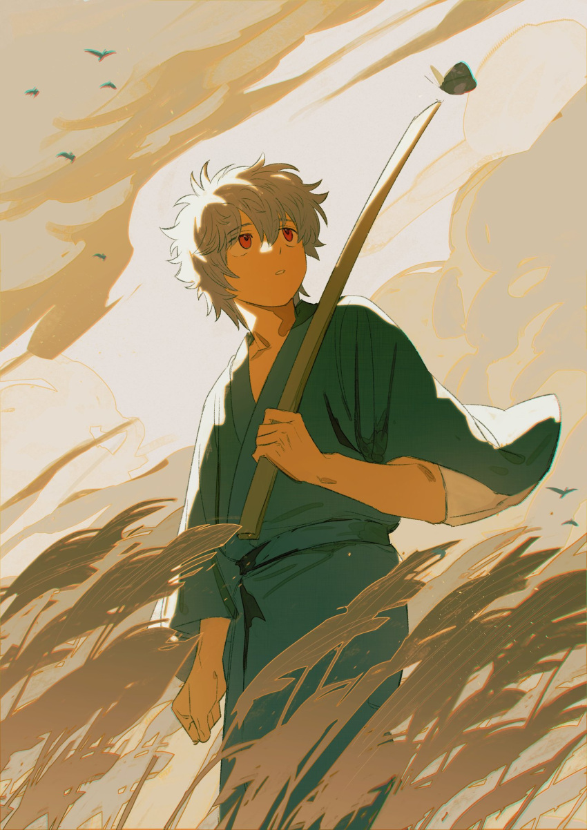 1boy aged_down bird bokken bug butterfly child chromatic_aberration clenched_hand clouds cloudy_sky curly_hair field gintama highres holding holding_sword holding_weapon japanese_clothes kimono kusuri looking_up male_focus open_mouth outdoors red_eyes sakata_gintoki sky solo sword v_formation weapon wooden_sword