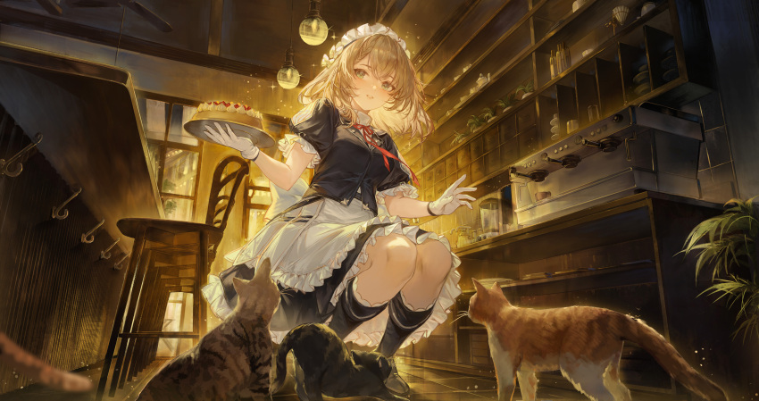 1girl absurdres apron black_footwear black_skirt boots braid braided_bangs cake cat chair ergouzi_echo food frilled_apron frilled_hairband frilled_skirt frills g36_(girls'_frontline) girls'_frontline_2:_exilium girls_frontline gloves hairband highres holding holding_tray indoors looking_at_viewer maid maid_apron maid_headdress medium_hair neck_ribbon official_art parted_lips pleated_skirt puffy_short_sleeves puffy_sleeves red_ribbon ribbon short_sleeves skirt solo squatting tray white_apron white_gloves white_headdress