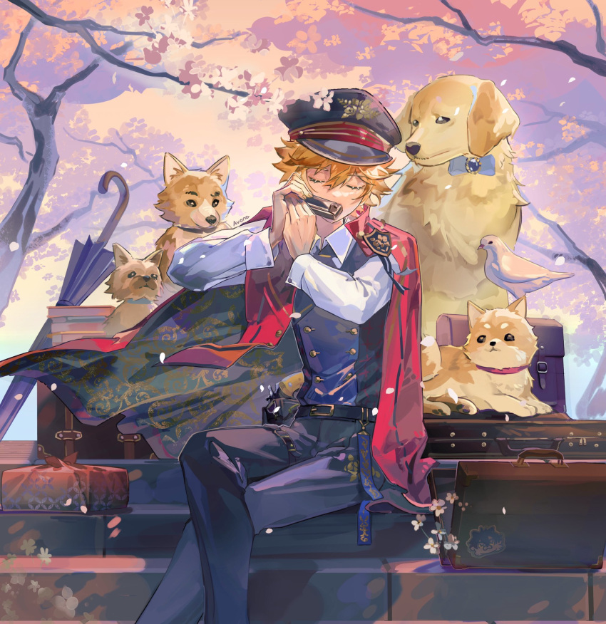 1boy akehoshi_subaru anna_(avona) bag belt belt_buckle bird bishounen black_belt black_headwear blonde_hair blue_pants blue_umbrella blue_vest briefcase brown_bag buckle buttons cape cherry_blossoms closed_eyes closed_umbrella collared_shirt commentary_request crest crossed_legs day denim dog dove ensemble_stars! eyelashes falling_petals feet_out_of_frame fingernails floral_print flower green_cape harmonica hat highres holding holding_instrument instrument jeans labrador_retriever long_sleeves male_focus military_hat music outdoors pants petals playing_instrument red_cape school_bag shirt short_hair sitting solo spring_(season) stairs tree two-sided_cape two-sided_fabric umbrella vest white_flower white_shirt white_sleeves