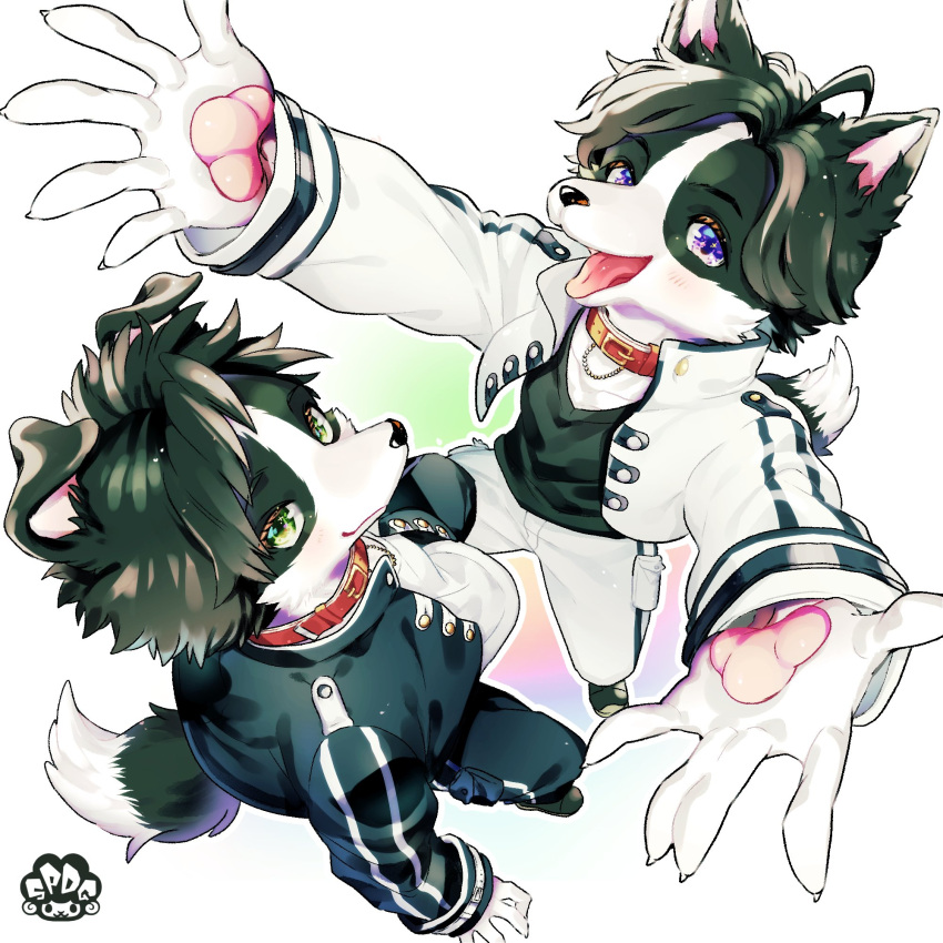 2boys ahoge animal_collar animal_ears animal_hands arms_up artist_logo bishounen black_footwear black_fur black_hair black_jacket black_pants black_shirt body_fur claws closed_mouth collar cropped_jacket dog_boy dog_ears dog_tail full_body furry furry_male green_eyes high_collar highres jacket light_blush long_sleeves looking_at_viewer mokotalow11 multicolored_background multiple_boys open_clothes open_jacket open_mouth original pants perspective reaching reaching_towards_viewer red_collar shirt short_hair siblings simple_background standing tail tongue tongue_out twins violet_eyes white_background white_fur white_jacket white_pants white_shirt