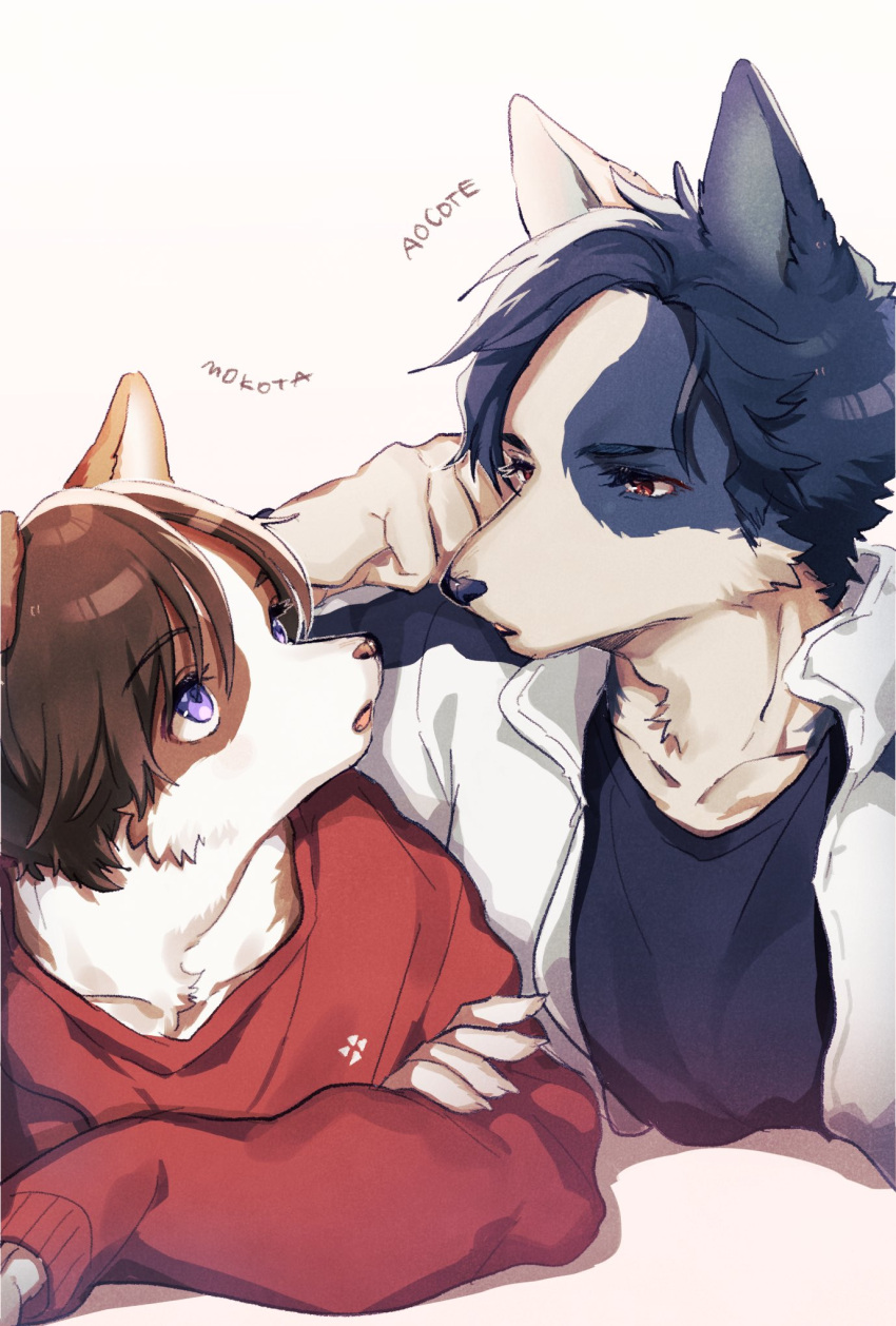 1boy 1girl animal_ears artist_name black_shirt blue_fur blue_hair body_fur brown_eyes brown_fur brown_hair claws clenched_hand collared_jacket commentary crossed_arms dog_boy dog_ears dog_girl furry furry_female gradient_background hand_on_own_cheek hand_on_own_face head_rest high_collar highres jacket looking_at_another lying mokotalow11 on_stomach original parted_lips pink_background red_sweater shirt short_hair sweater symbol-only_commentary upper_body violet_eyes white_background white_fur white_jacket
