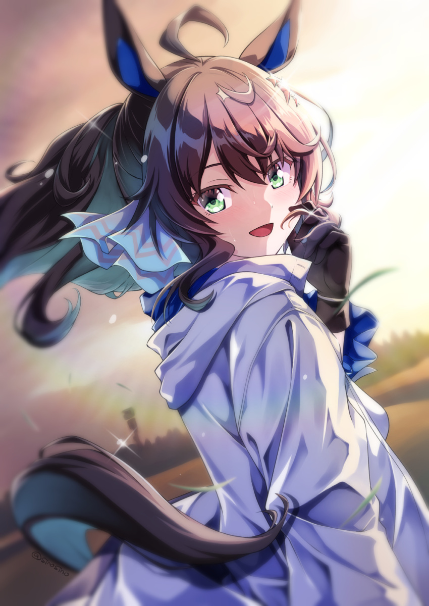 1girl ahoge animal_ears blurry blurry_background blush commentary_request daring_tact_(umamusume) green_eyes hair_ornament highres horse_ears horse_girl horse_tail jacket leaf lens_flare long_hair looking_at_viewer portrait sinosinof sky solo sparkle sweat tail twitter_username umamusume