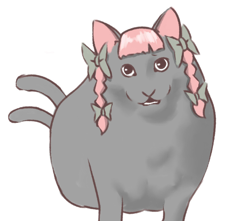 animal_focus black_eyes bow braid cat full_body green_bow grey_cat hair_bow highres huh?_cat_(meme) kaenbyou_rin kaenbyou_rin_(cat) looking_at_viewer meme multiple_tails no_humans open_mouth pink_hair rass-mameki simple_background solo tail touhou twin_braids two_tails white_background