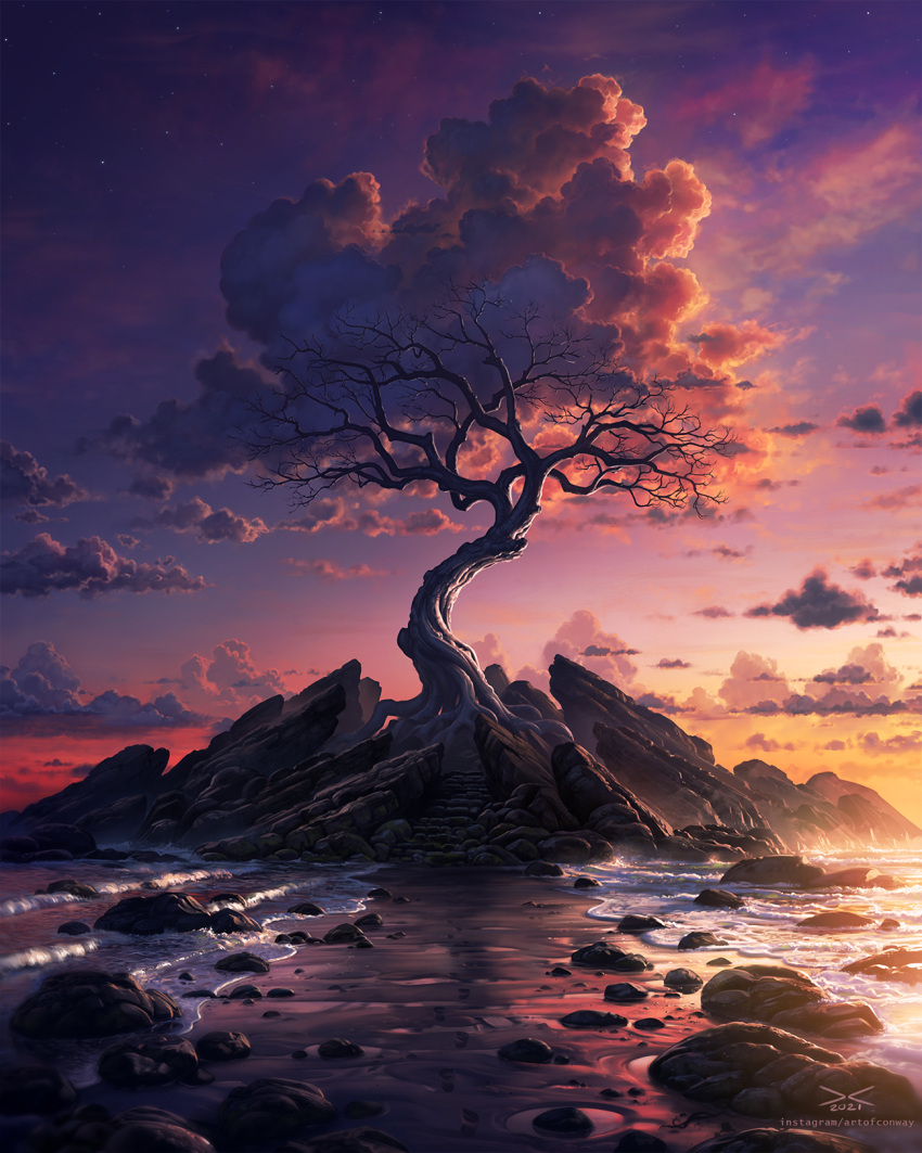 bare_tree boulder clouds daniel_conway highres moss no_humans original outdoors rock roots scenery shore sky stairs star_(sky) starry_sky tree twilight water waves web_address