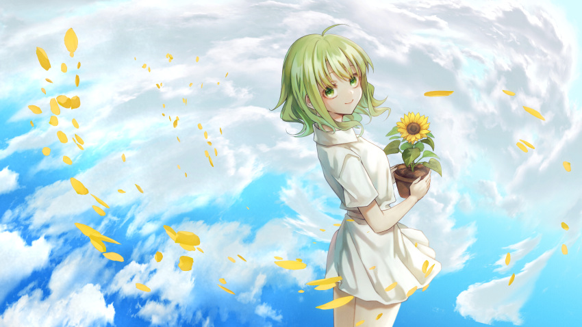 1girl absurdres collared_shirt day falling_petals flower green_eyes green_hair gumi highres holding looking_at_viewer looking_back petals plant potted_plant putty_(kusanntonn) shirt short_hair short_sleeves skirt sky smile solo sunflower vocaloid