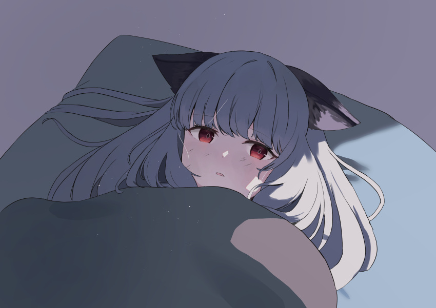1girl absurdres animal_ear_fluff animal_ears arknights blush frostleaf_(arknights) grey_background grey_hair highres long_hair looking_at_viewer lying on_back parted_lips pillow red_eyes simple_background solo suzubotan under_covers