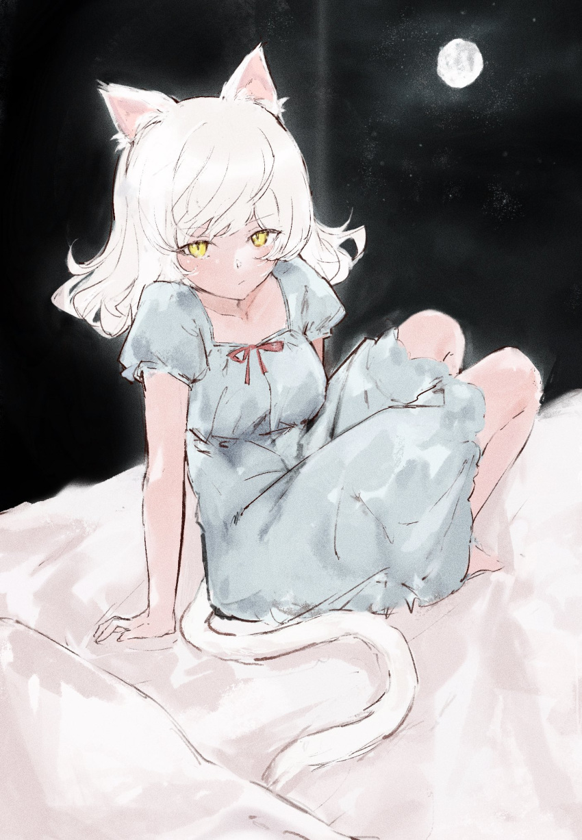 1girl animal_ears black_hanekawa blue_dress bow cat_ears cat_tail collarbone dress frilled_dress frills full_moon hanekawa_tsubasa highres looking_at_viewer medium_hair moku_(muooku) monogatari_(series) moon night night_sky nightgown red_bow sitting sky solo tail white_hair yellow_eyes