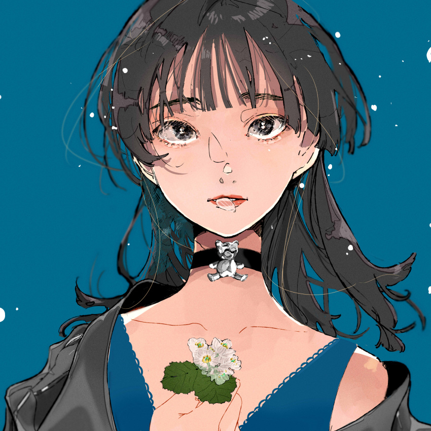 1girl absurdres bear black_choker black_eyes black_hair black_jacket blue_background blue_camisole blunt_bangs blurry camisole choker collarbone depth_of_field flower highres holding holding_flower jacket lace-trimmed_camisole lace_trim leaf light_particles long_hair looking_at_viewer original parted_lips simple_background single_bare_shoulder straight-on tamamadayo upper_body white_flower