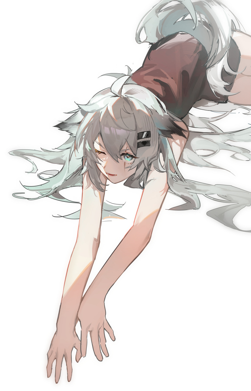 1girl absurdres animal_ears arknights blue_eyes commentary_request grey_hair highres lappland_(arknights) long_hair looking_ahead lying on_stomach one_eye_closed outstretched_arms parted_lips rui_(woyoudabing_rui) scar scar_across_eye simple_background solo tail v-shaped_eyebrows variant_set white_background wolf_ears wolf_tail