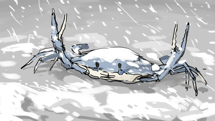 animal animal_focus crab crustacean grey_background highres no_humans original sketch snow snowing tagme tsukumizu_yuu