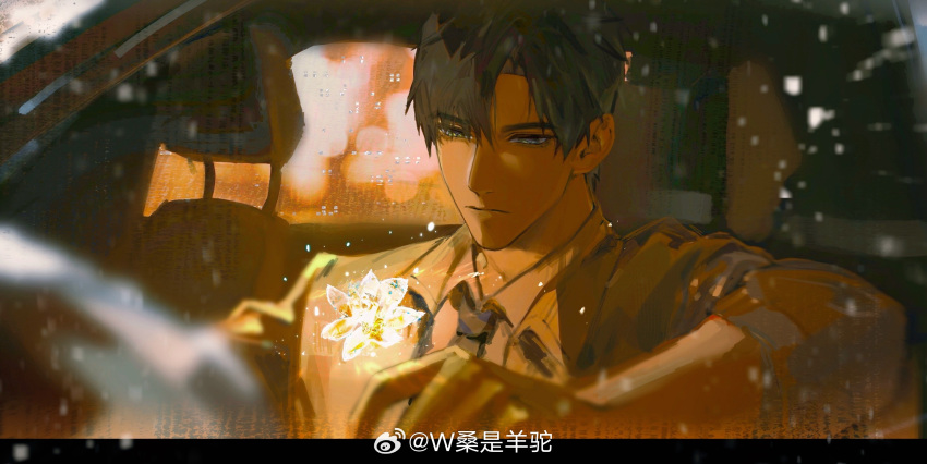 1boy black_hair car_interior expressionless green_eyes highres ice_flower looking_at_viewer love_and_deepspace male_focus necktie short_hair sitting solo upper_body weibo_6067146404 zayne_(love_and_deepspace)