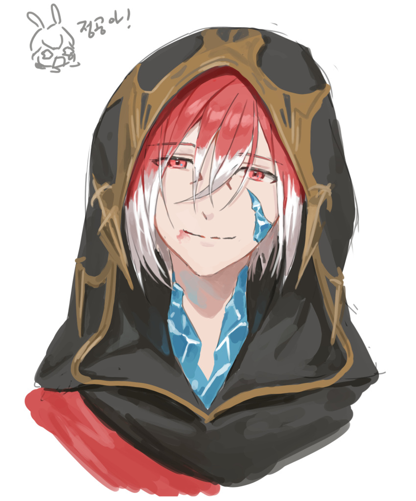 1boy blood blood_from_mouth chibi chibi_inset closed_mouth crystal crystal_exarch final_fantasy final_fantasy_xiv g'raha_tia head_tilt highres hood hood_up looking_at_viewer lumeru_33 male_focus multicolored_hair red_eyes redhead short_hair simple_background smile solo streaked_hair white_background white_hair