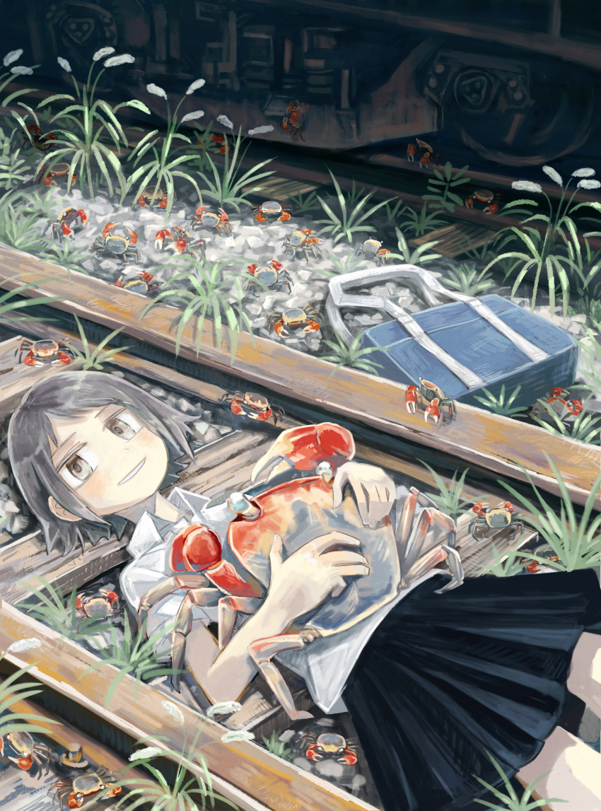 1girl animal animal_hug aremoyou bag black_skirt blush collared_shirt commentary_request cowboy_shot crab day from_above from_side grey_eyes grey_hair grin highres lying on_back on_ground original outdoors oversized_animal pebble pleated_skirt railroad_tracks school_bag shirt short_hair short_sleeves skirt smile solo train weeds white_shirt