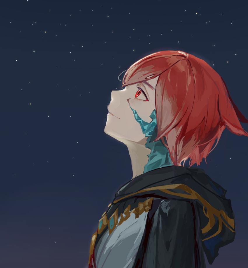 1boy animal_ears cat_ears closed_mouth crystal_exarch final_fantasy final_fantasy_xiv from_side g'raha_tia highres hood hood_down looking_up lumeru_33 male_focus night night_sky profile red_eyes redhead robe short_hair sky smile solo star_(sky) starry_sky