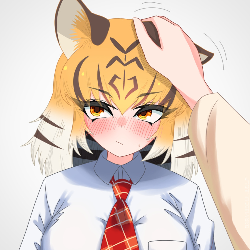 1girl animal_ears black_hair blush collared_shirt disembodied_limb hair_between_eyes hand_on_another's_head highres kemono_friends kemono_friends_3 looking_to_the_side multicolored_hair necktie nijiiro_(graynbow_wolf) nose_blush orange_eyes orange_hair plaid_necktie red_necktie shirt sidelocks solo sweatdrop tiger_(kemono_friends) tiger_ears tiger_girl upper_body white_hair white_shirt