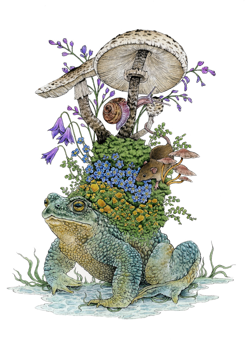 absurdres animal_focus blue_flower english_commentary flower forest frog highres lea_chaillaud moss mouse mushroom nature no_humans original painting_(medium) purple_flower simple_background snail toad_(animal) traditional_media watercolor_(medium) white_background