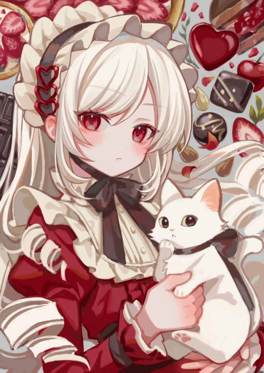1girl absurdres animal animal_ear_fluff black_hairband blush cat chocolate closed_mouth commentary_request dress food frilled_hairband frills fruit grey_background hairband heart highres holding holding_animal juliet_sleeves long_hair long_sleeves looking_at_viewer original parted_bangs puffy_sleeves red_dress red_eyes ringlets solo strawberry suzaku_(zaku6584) upper_body valentine very_long_hair white_cat white_hair