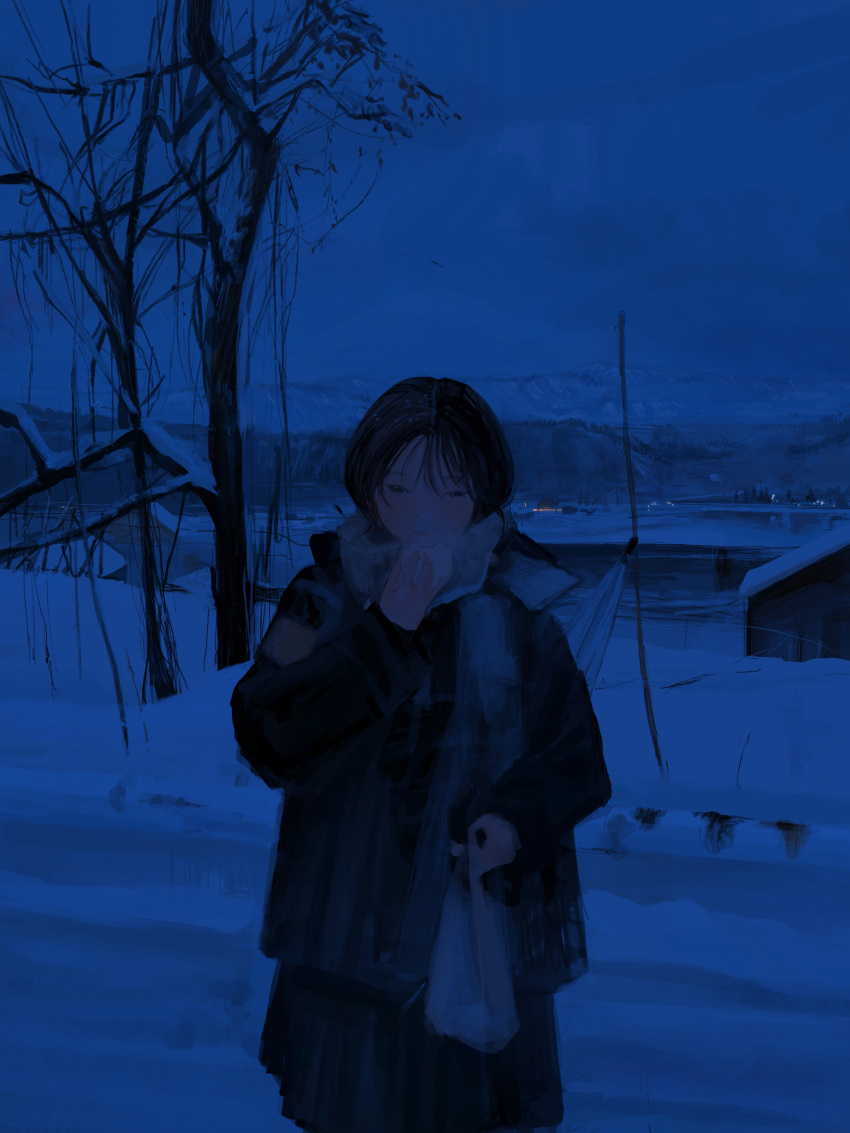 1girl absurdres as4kla bag baozi black_hair black_jacket black_skirt building commentary eating food hashtag_only_commentary highres holding holding_bag holding_food house jacket lake landscape long_sleeves mountain night night_sky original outdoors road scarf short_hair skirt sky snow solo tree winter_clothes