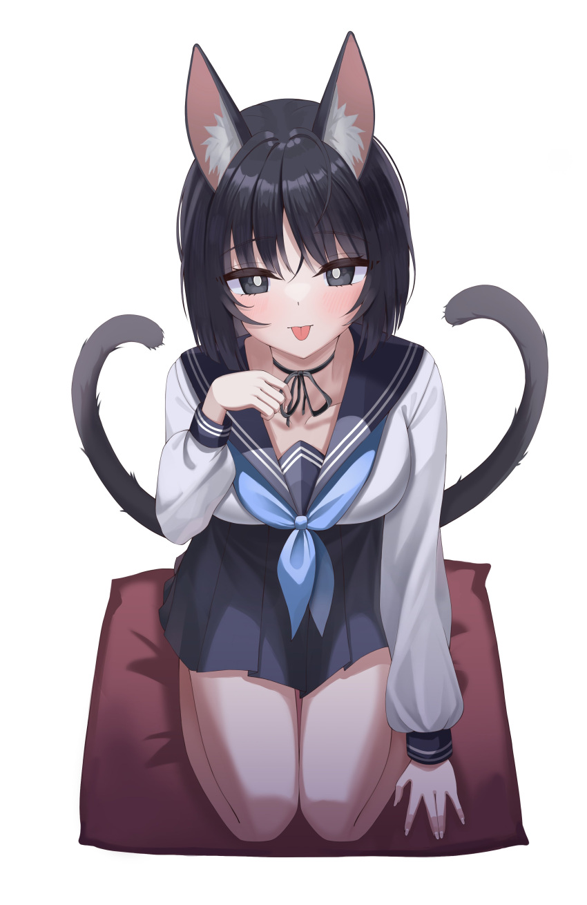 1girl :p \||/ absurdres animal_ear_fluff animal_ears arm_at_side black_eyes black_hair black_ribbon black_skirt blue_archive blue_neckerchief blush bob_cut breasts bright_pupils cat_ears cat_tail closed_mouth collarbone commentary eyelashes fingernails hair_between_eyes hand_up highres kikyou_(blue_archive) long_sleeves looking_at_viewer medium_breasts miniskirt multiple_tails neck_ribbon neckerchief paw_pose pillow pleated_skirt ribbon seiza shirt short_hair simple_background siru sitting skirt solo symbol-only_commentary tail tongue tongue_out tsurime two_tails white_background white_pupils white_shirt