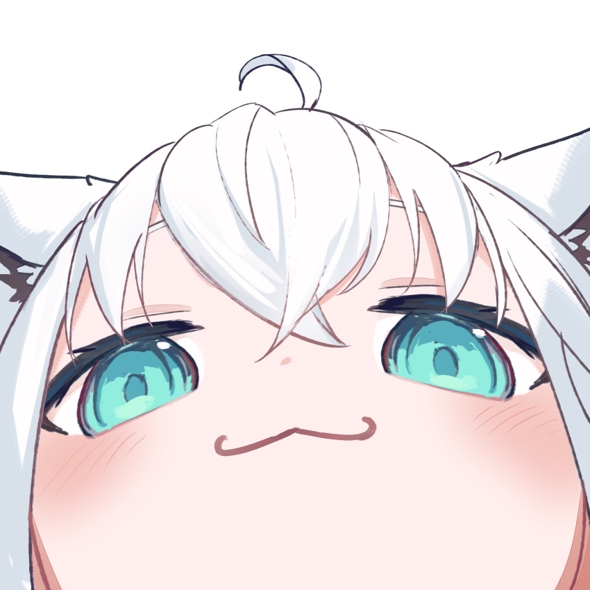 1girl :3 absurdres ahoge animal_ear_fluff animal_ears aqua_eyes close-up crossed_bangs double-parted_bangs fox_ears fox_girl fox_tail highres hololive hyde_(tabakko) looking_at_viewer pov shirakami_fubuki sidelocks simple_background solo tail virtual_youtuber white_background white_hair