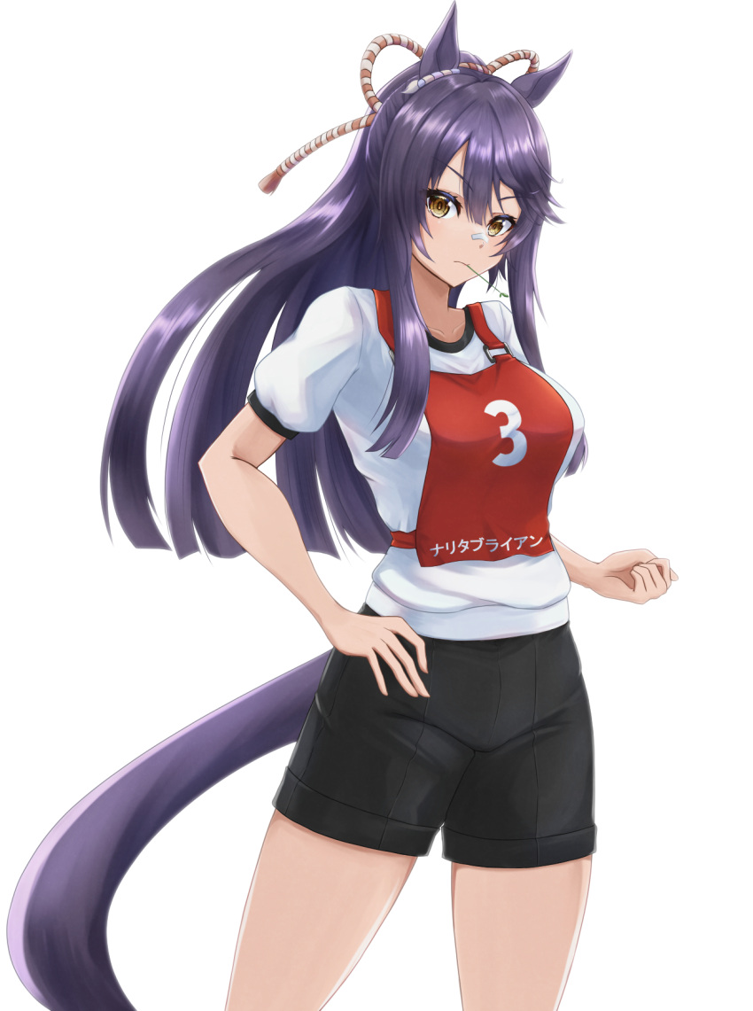1girl animal_ears bandaid bandaid_on_face black_hair black_shorts character_name clenched_hand closed_mouth commentary cowboy_shot frown gym_shirt gym_shorts gym_uniform hair_ornament hand_on_own_hip highres horse_ears horse_girl horse_tail kemuri_(etep3372) long_hair looking_at_viewer mouth_hold narita_brian_(umamusume) ponytail race_bib rope shirt short_sleeves shorts simple_background solo stalk_in_mouth standing t-shirt tail umamusume white_background white_shirt yellow_eyes