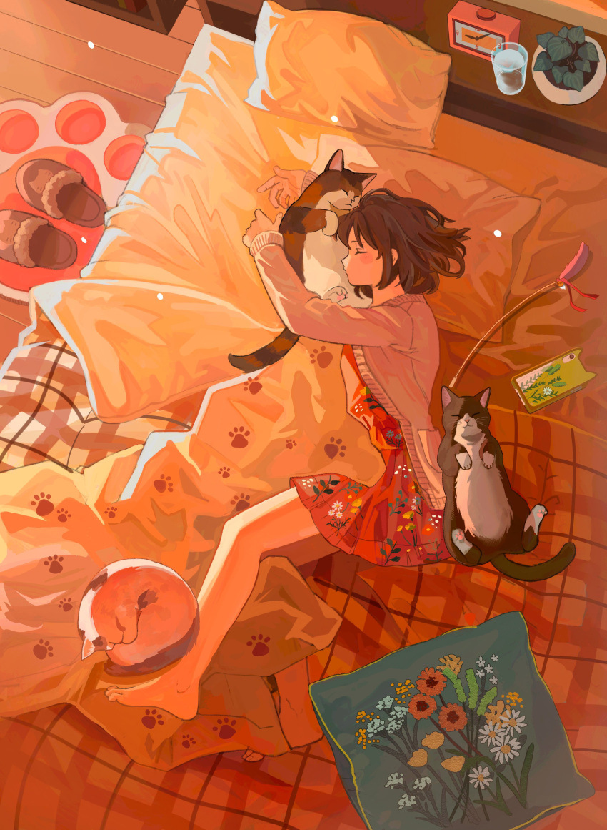 1girl absurdres alarm_clock animal animal_hug barefoot bed bedroom blanket brown_cardigan brown_hair cardigan cat cat_day cat_teaser cellphone clock closed_eyes cup day dress drinking_glass expressionless floral_print from_above full_body highres indoors long_sleeves lying mituhati on_bed on_side original paw_print phone pillow plaid_blanket plant potted_plant red_dress rug scenery short_hair sleeping slippers smartphone solo under_covers unworn_slippers wooden_floor