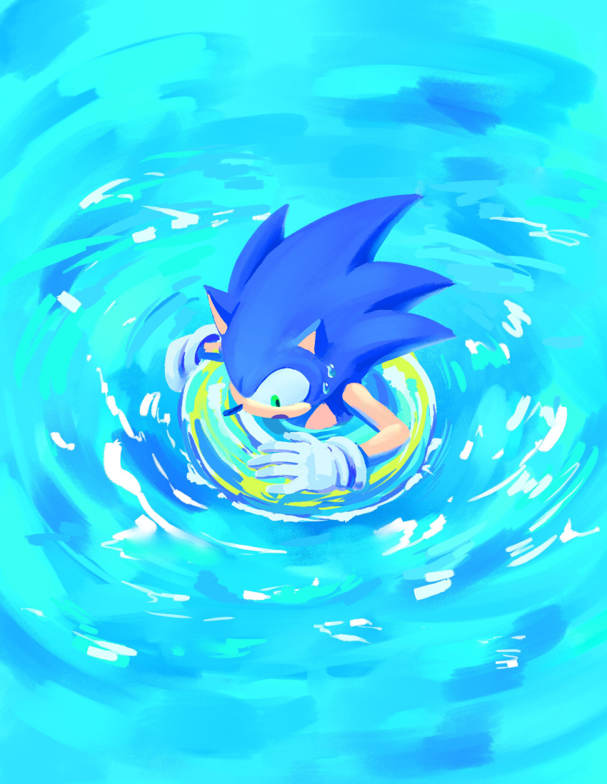 1boy absurdres animal_ears animal_nose blue_theme commentary_request from_above furry furry_male gloves green_eyes highres innertube korean_commentary male_focus open_mouth solo sonic_(series) sonic_the_hedgehog sweat swim_ring water white_gloves yangfaa_sonic