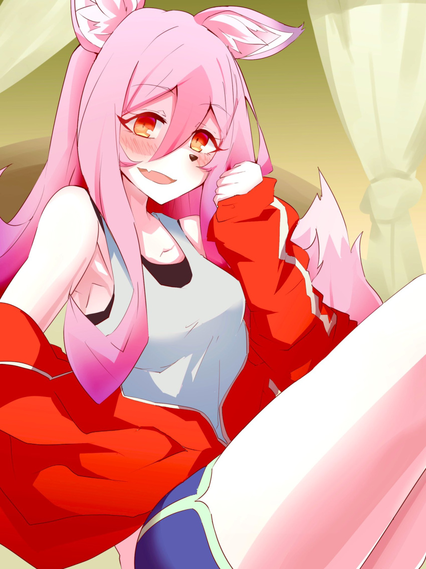 1girl animal_ears animal_nose black_bra body_fur bra brand_new_animal breasts curtains dolphin_shorts fox fox_ears fox_girl fox_tail furry furry_female highres hiwatashi_nazuna indoors jacket long_hair looking_at_viewer medium_breasts on_bed open_mouth pink_fur pink_hair red_eyes red_jacket shirt shorts smile snout solo spotted_fur synchroman tail track_jacket underwear white_fur white_shirt