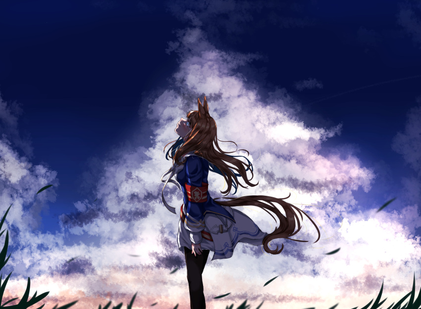 1girl absurdres animal_ears armband belt black_pantyhose blue_dress blue_eyes blue_sky bow brown_hair closed_mouth clouds cloudy_sky commentary_request dress ear_bow feet_out_of_frame from_side grass_wonder_(umamusume) highres horse_ears horse_girl horse_tail lens_flare long_hair long_sleeves neck_ribbon outdoors pantyhose ribbon sailor_dress short_dress sky solo standing tabunshake tail two-tone_dress umamusume white_dress white_ribbon yellow_belt