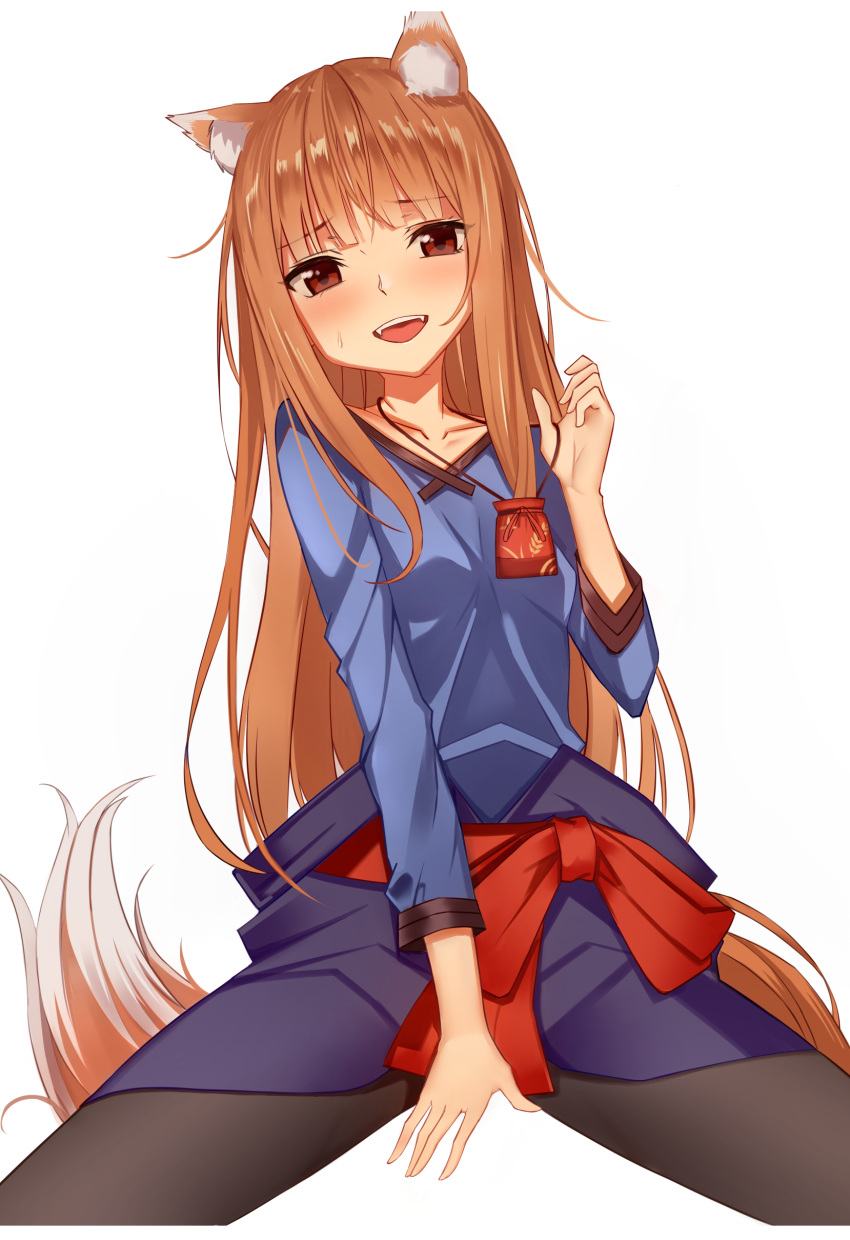1girl :d absurdres animal_ear_fluff animal_ears belt between_legs black_eyes black_pantyhose blue_shirt breasts brown_hair cmpx8522 collarbone hand_between_legs hand_up highres holo long_hair long_sleeves looking_at_viewer open_mouth pantyhose red_belt shirt sidelocks simple_background small_breasts smile solo spice_and_wolf sweatdrop tail teeth upper_teeth_only white_background wolf_ears wolf_girl wolf_tail