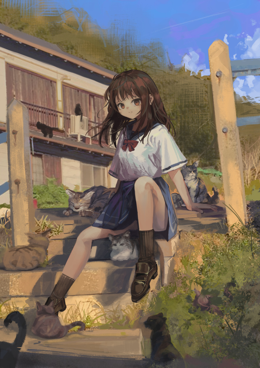 1girl absurdres air_conditioner black_cat black_footwear black_socks blue_skirt blue_sky bow bowtie brown_eyes brown_hair bush cat closed_mouth clouds curtains day eliot_(eokaitekaite969) fence grass highres house loafers long_hair looking_at_viewer nail original outdoors red_bow red_bowtie school_uniform serafuku shoes short_sleeves sidelocks sitting skirt sky socks solo stairs sunlight tree white_serafuku wooden_fence