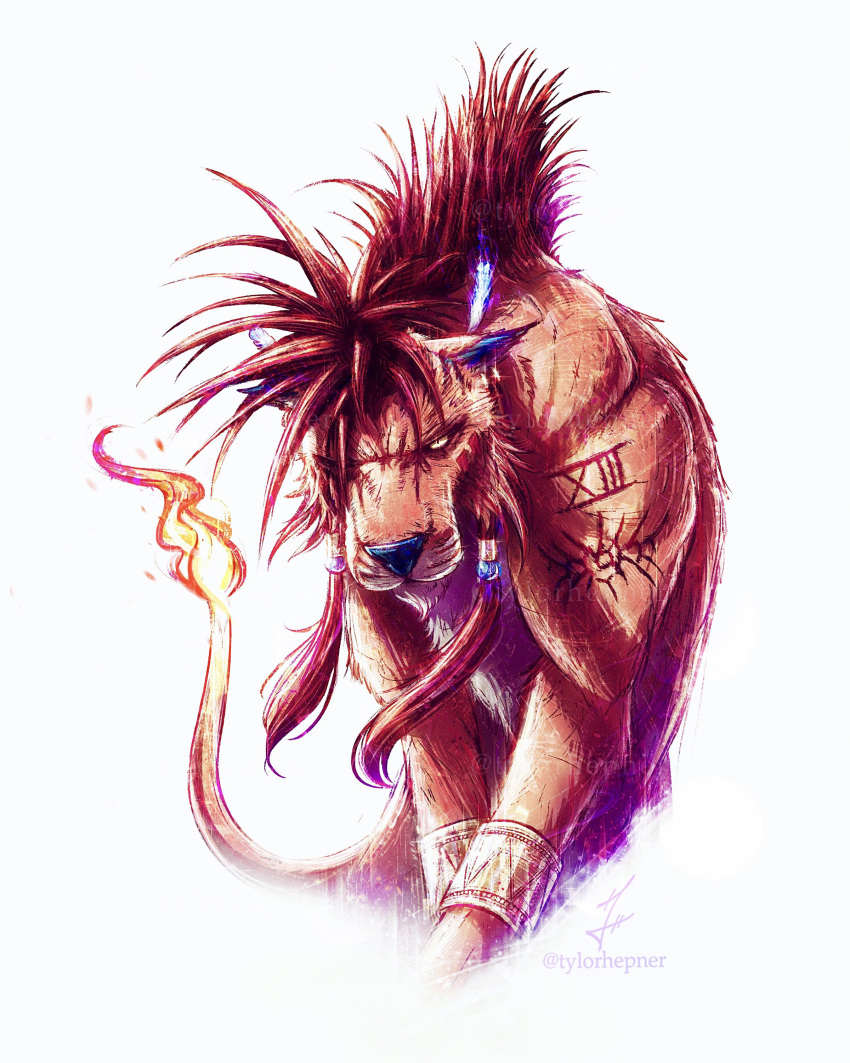 1boy absurdres animal animal_focus arm_tattoo beads bracelet commentary english_commentary feathers final_fantasy final_fantasy_vii final_fantasy_vii_rebirth final_fantasy_vii_remake flame-tipped_tail hair_beads hair_ornament highres instagram_username jewelry looking_at_viewer no_humans red_fur red_xiii redhead scar scar_across_eye signature simple_background tattoo tylor_hepner whiskers white_background yellow_eyes
