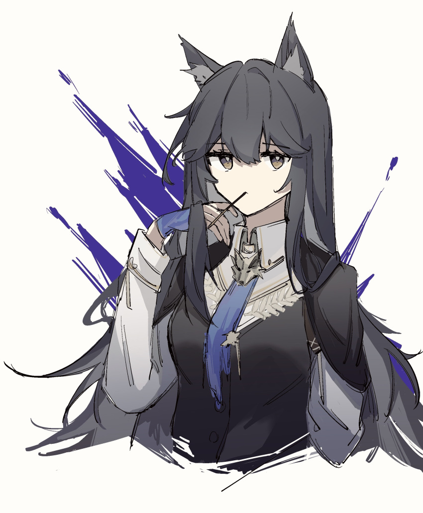 1girl absurdres animal_ear_fluff animal_ears arknights black_cape black_hair black_jacket blue_necktie buttons cape chinese_commentary collared_shirt commentary_request cropped_torso expressionless food grey_eyes hair_between_eyes hair_flip hand_up highres jacket long_hair long_sleeves looking_at_viewer mouth_hold necktie no_nose official_alternate_costume pocky qiming_zhen_de_hao_nan shirt sidelocks sketch solo texas_(arknights) texas_the_omertosa_(arknights) white_background white_shirt wolf_ears wolf_girl