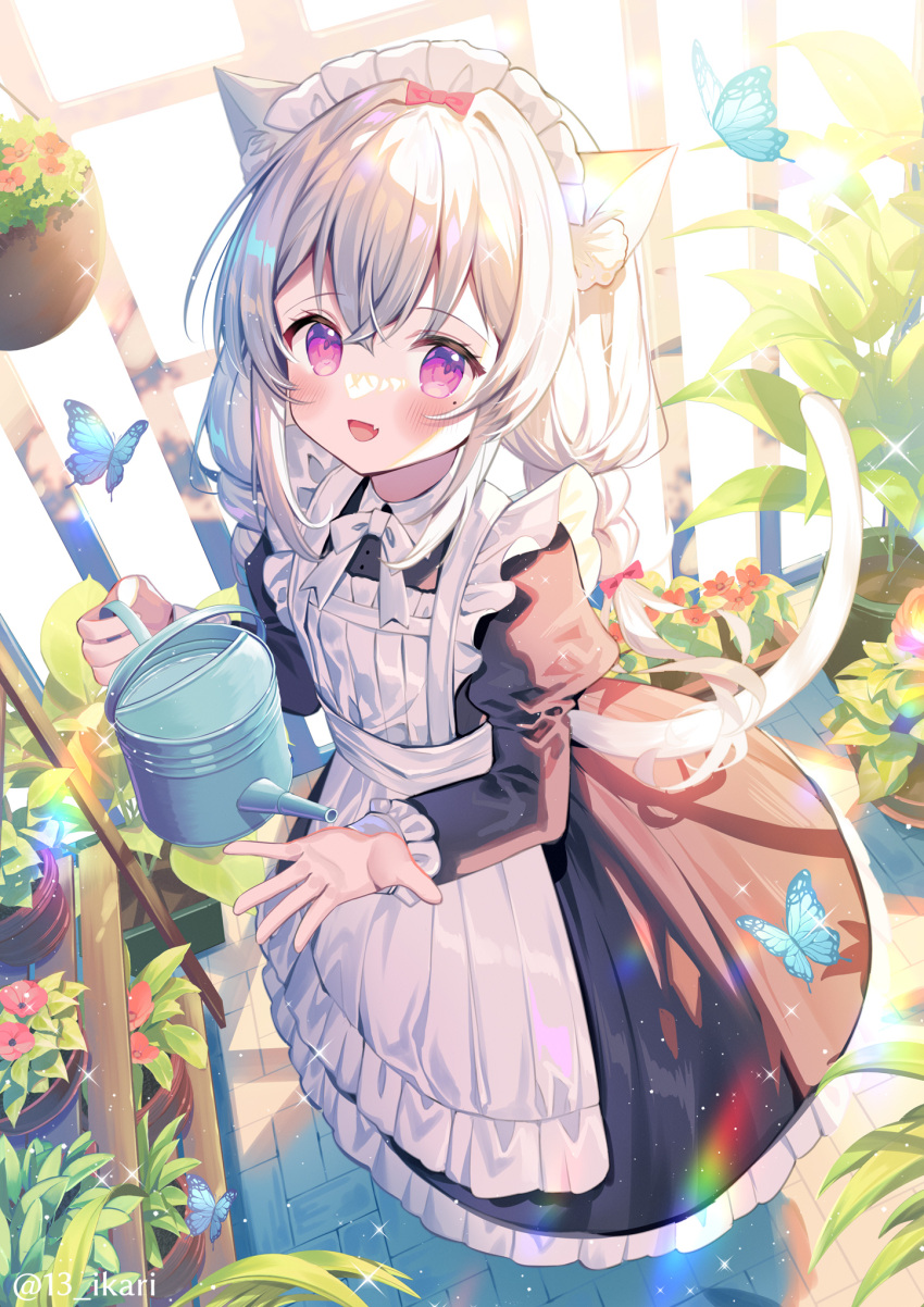 1girl :d animal animal_ears apron black_dress blush bug butterfly cat_ears cat_girl cat_tail commentary_request day dress fang flower flower_pot frilled_apron frilled_dress frills hair_between_eyes highres holding ikari_(aor3507) indoors juliet_sleeves long_hair long_sleeves looking_at_viewer low_twintails maid maid_apron maid_headdress mole mole_under_eye original puffy_sleeves red_flower smile solo standing sunlight tail twintails very_long_hair violet_eyes watering_can white_apron white_hair