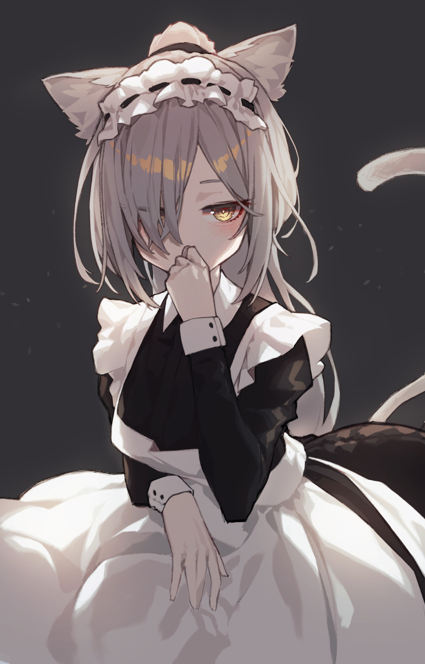 1girl absurdres animal_ear_fluff animal_ears apron arknights beudelb black_dress brown_eyes commentary_request dress frilled_apron frills grey_background grey_hair hair_over_one_eye hand_to_own_mouth hand_up highres juliet_sleeves korean_commentary long_hair long_sleeves looking_at_viewer maid maid_apron ponytail puffy_sleeves ribbon_trim schwarz_(arknights) simple_background solo tail very_long_hair white_apron