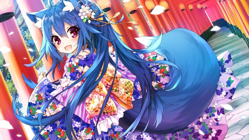 1girl :d animal_ear_fluff animal_ears blue_hair commentary_request day fang floral_print flower fox_ears fox_girl fox_tail hair_between_eyes hair_flower hair_ornament highres japanese_clothes kimono lantern long_hair long_sleeves looking_at_viewer looking_to_the_side multiple_torii original outdoors paper_lantern petals ponytail print_kimono purple_kimono saeki_touma sleeves_past_wrists smile solo tail torii very_long_hair violet_eyes white_flower wide_sleeves