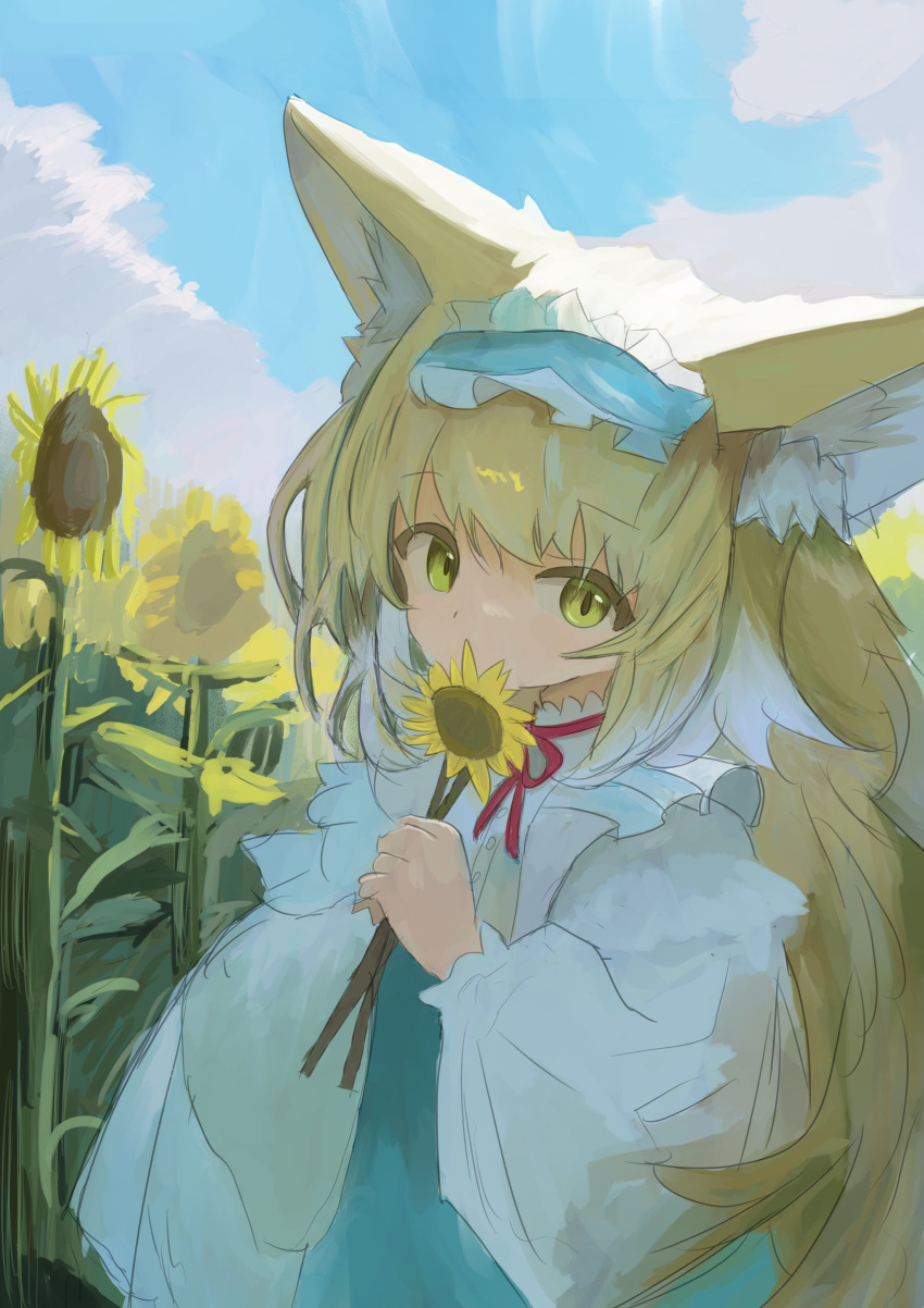 1girl absurdres animal_ears arknights blonde_hair blue_dress blue_sky clouds cloudy_sky commentary_request covering_own_mouth day delfino dot_nose dress field flower flower_field fox_ears fox_girl green_eyes highres holding holding_flower long_bangs long_sleeves looking_at_viewer multicolored_hair outdoors shirt sidelocks sky solo sunflower sunflower_field suzuran_(arknights) two-tone_hair upper_body white_hair white_shirt