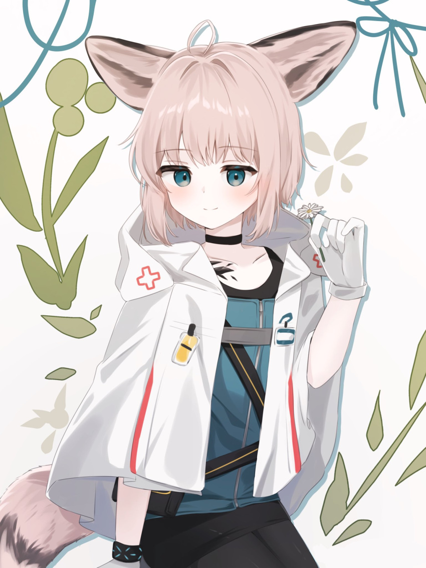 1girl ahoge animal_ear_fluff animal_ears arknights black_choker black_pantyhose blue_dress blue_eyes blush brown_hair choker closed_mouth collarbone commentary_request dress flower fox_ears fox_girl fox_tail gloves grey_background hand_up highres holding holding_flower hood hood_down hooded_jacket jacket looking_at_viewer nishimiya_aki open_clothes open_jacket pantyhose simple_background smile solo sussurro_(arknights) tail white_flower white_gloves white_jacket