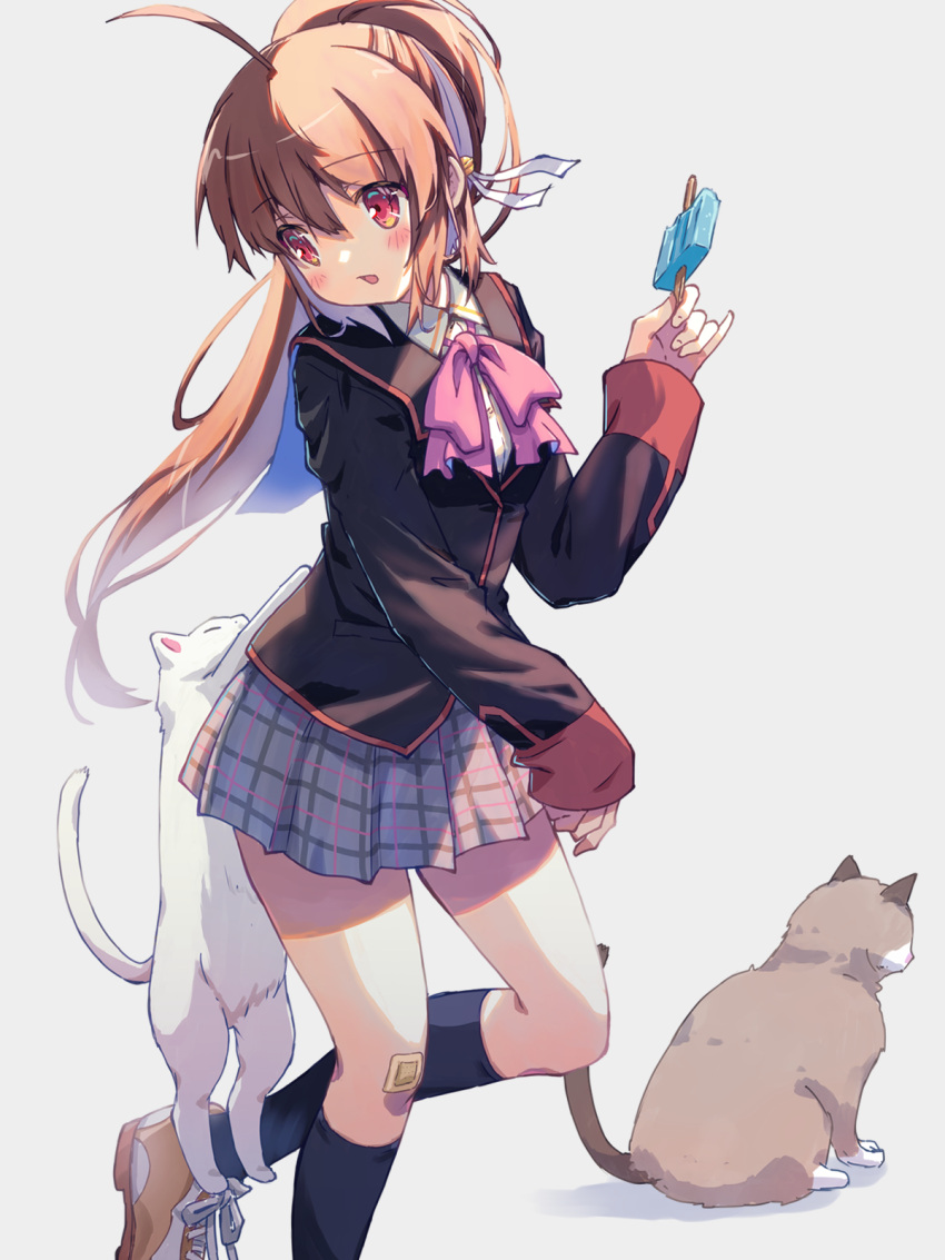 1girl ahoge akayama_yukihe bandaid bandaid_on_knee bandaid_on_leg bell black_jacket black_socks blazer blush bow brown_cat brown_hair cat commentary eyes_visible_through_hair food foot_out_of_frame grey_background grey_skirt hair_bell hair_between_eyes hair_ornament hair_ribbon hand_up highres holding holding_food holding_popsicle jacket jingle_bell kneehighs little_busters! little_busters!_school_uniform long_hair looking_at_animal looking_down miniskirt natsume_rin open_mouth pink_bow plaid plaid_skirt pleated_skirt ponytail popsicle red_eyes ribbon school_uniform sidelighting simple_background skirt sleeves_past_wrists socks solo standing standing_on_one_leg thighs white_cat white_ribbon