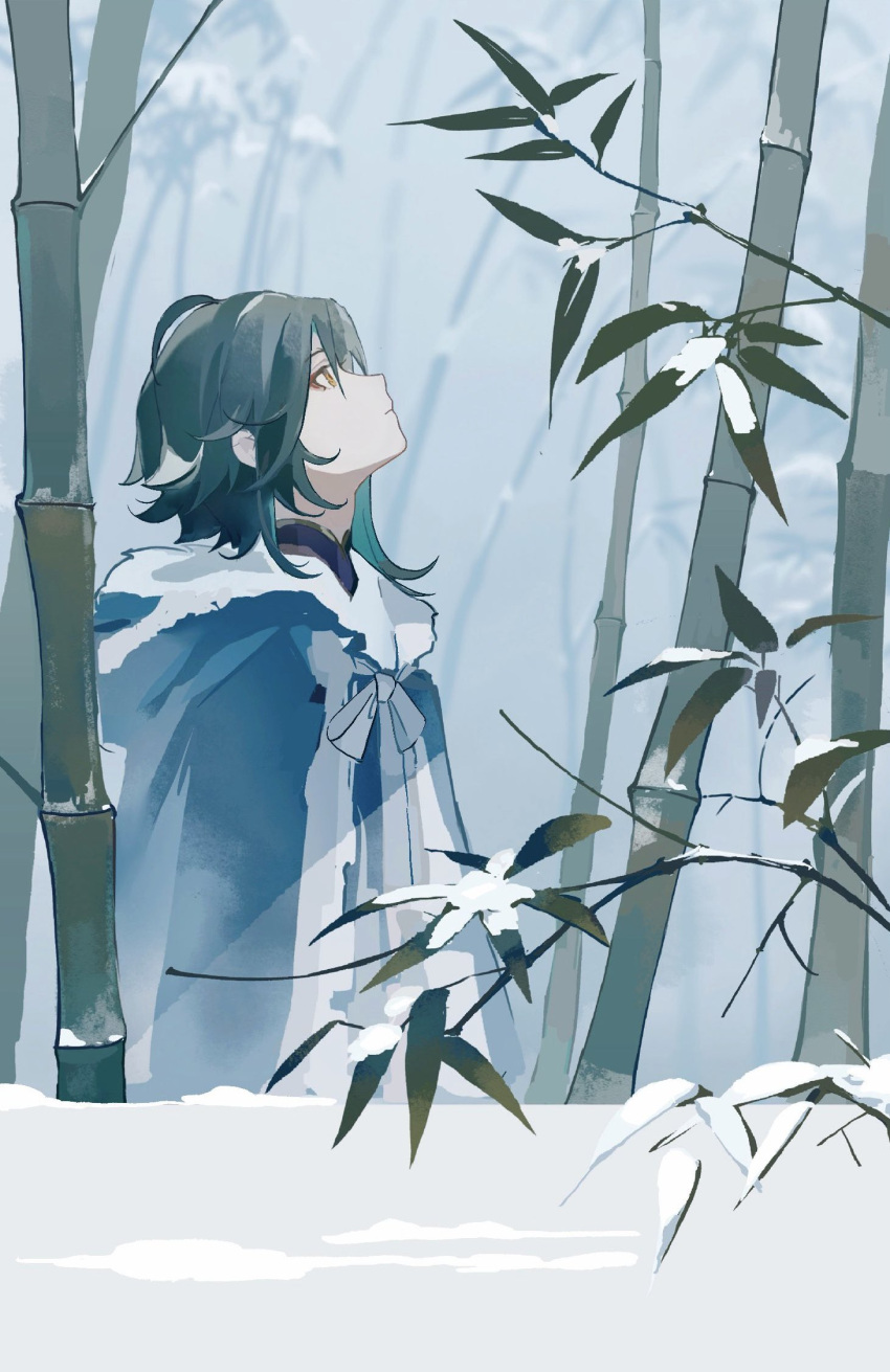 1boy bamboo bamboo_forest blue_hair coat eyeshadow forest from_side fur-trimmed_coat fur_trim genshin_impact highres hood hood_down leaf looking_up makeup nature outdoors qingxin_gua_yu red_eyeshadow snow solo standing winter_clothes winter_coat xiao_(genshin_impact) yellow_eyes