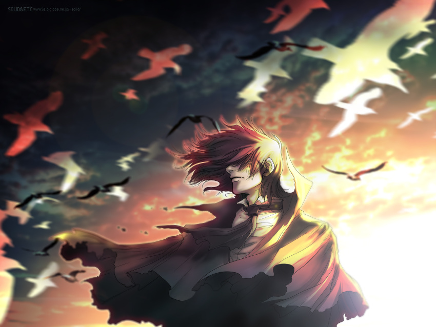 1boy alucard_(hellsing) bird capelet clouds cloudy_sky frown hair_over_eyes hellsing highres male_focus medium_hair motion_blur pale_skin sky solo torn_capelet torn_clothes toshimichi_yukari upper_body