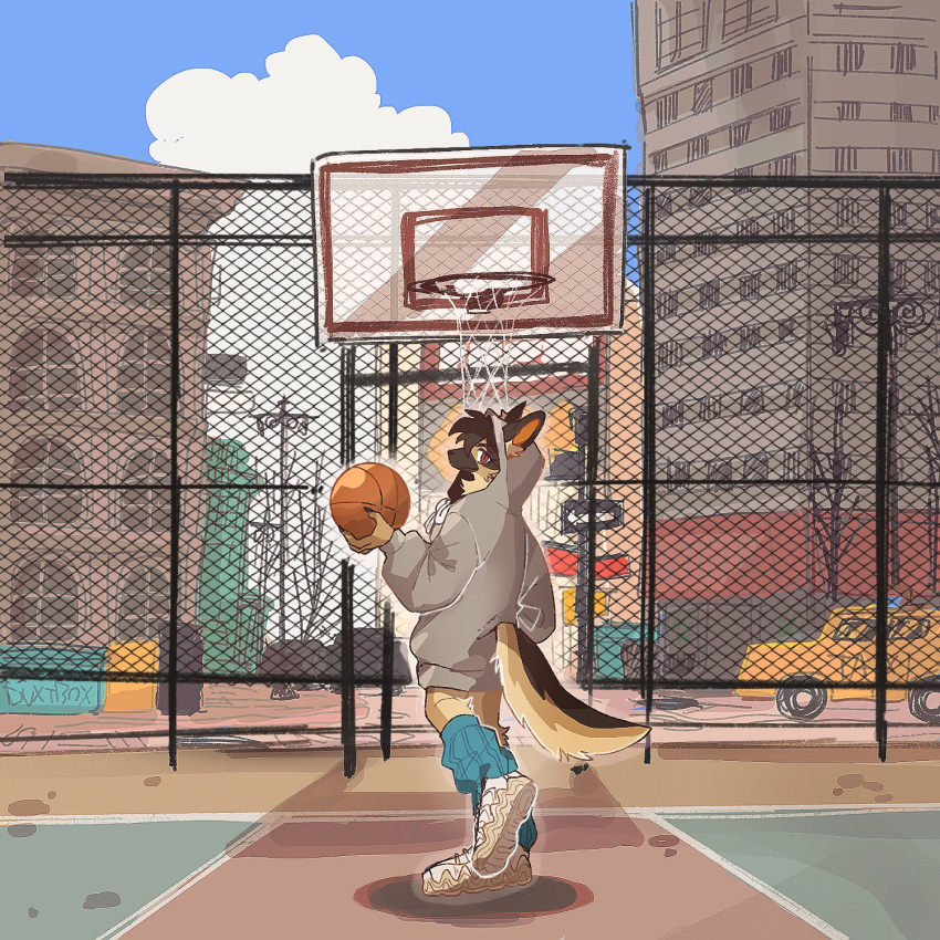 1girl animal_ears ball basketball_(object) basketball_court basketball_hoop blue_sky body_fur brown_fur brown_hair building car chain-link_fence city clouds commentary day dog_ears dog_girl dog_tail ears_through_headwear fence fingernails furry furry_female grey_hoodie highres holding holding_ball hood hood_up hoodie leg_warmers long_sleeves looking_at_viewer looking_back motor_vehicle original outdoors rata_(norahasu) red_eyes scenery sharp_fingernails shoes sky sneakers solo standing tail tail_through_clothes tomboy white_footwear wide_shot yellow_fur