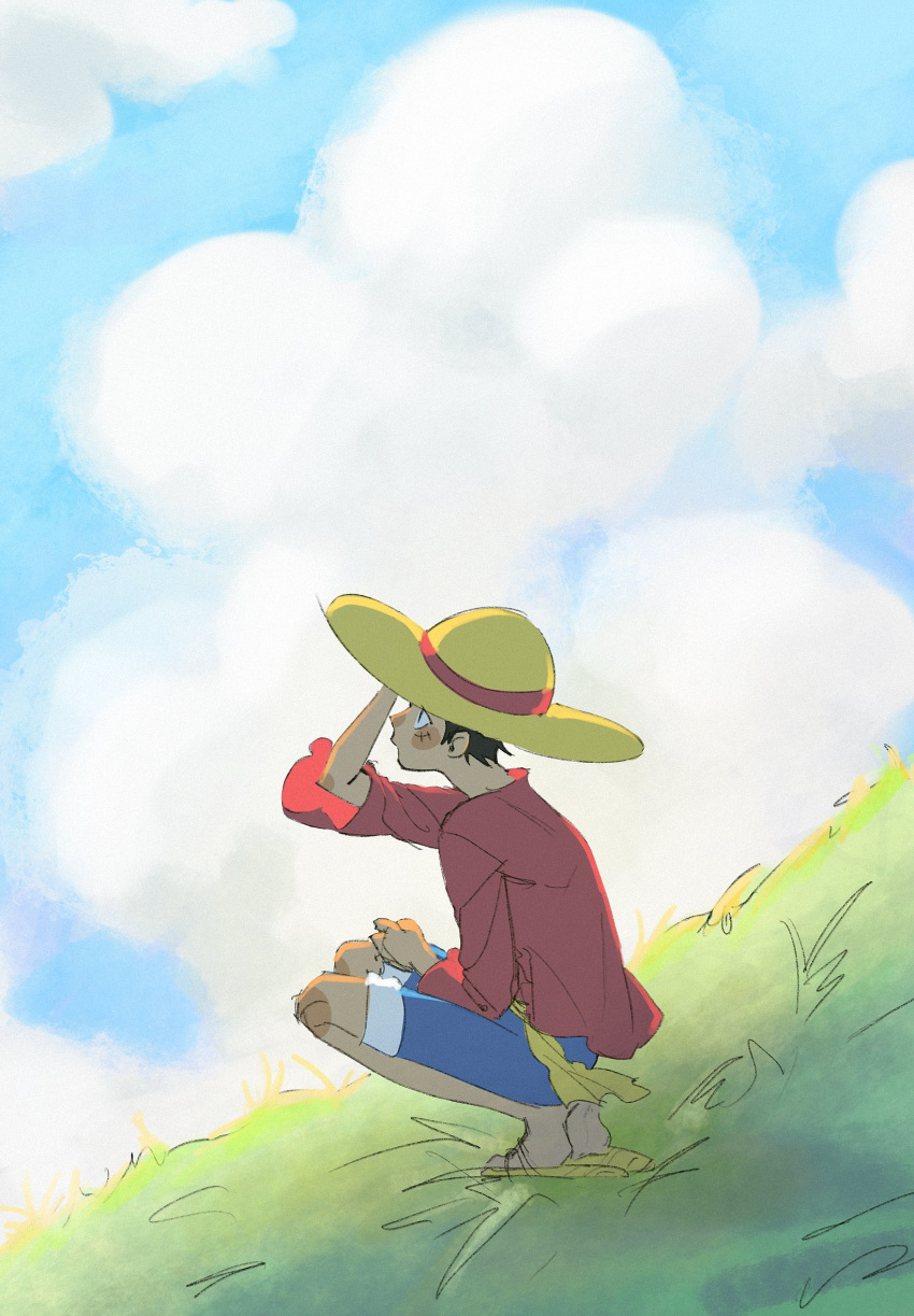 1boy arm_up black_hair blue_shorts clouds commentary frilled_shirt frills grass hamster_sally hand_on_headwear hat highres looking_up male_focus monkey_d._luffy one_piece profile red_shirt sandals sash scar scar_on_face shirt short_hair shorts sky solo squatting straw_hat yellow_sash